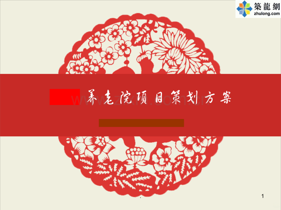 养老院项目策划.ppt_第1页