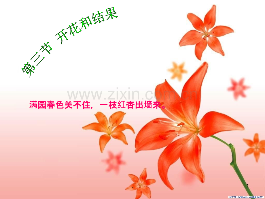 开花和结果教学.ppt_第1页