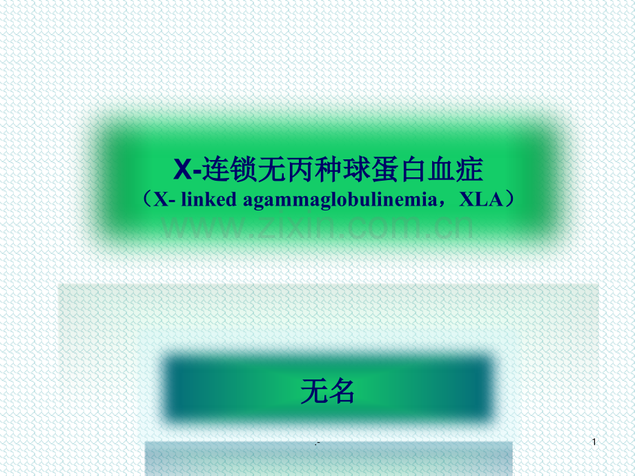 X连锁无丙种球蛋白血症XLA.ppt_第1页