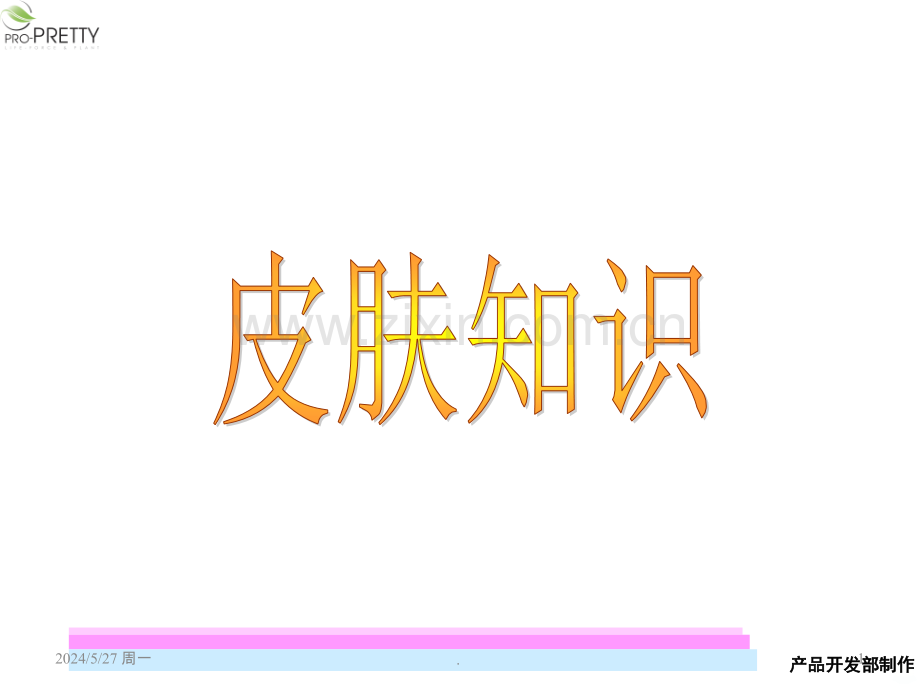 皮肤知识大全.ppt_第1页