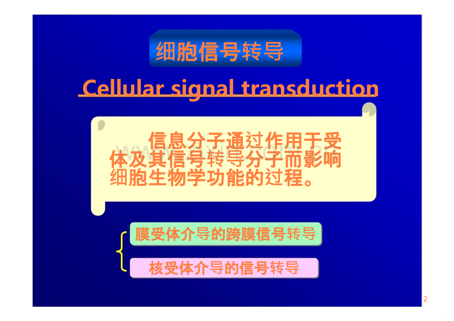 信号转导异常与疾病ppt课件.ppt_第2页