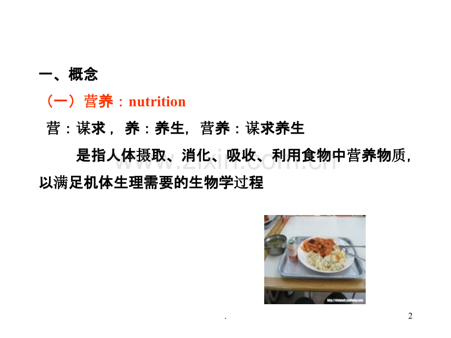 营养入门概述.ppt_第2页
