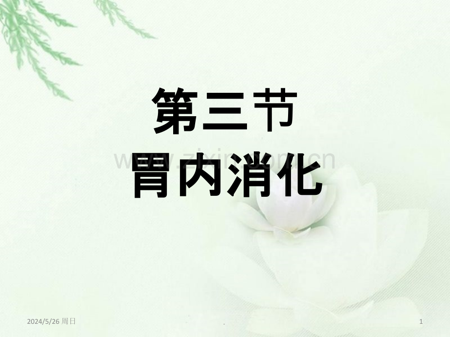 生理学胃液分泌.ppt_第1页