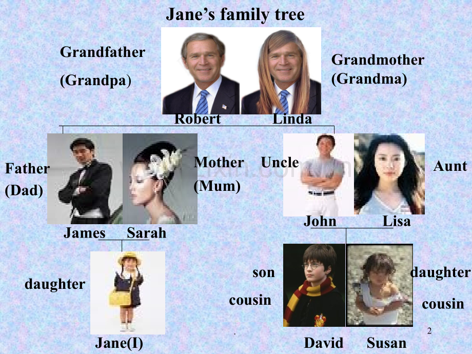 家谱familytree.ppt_第2页