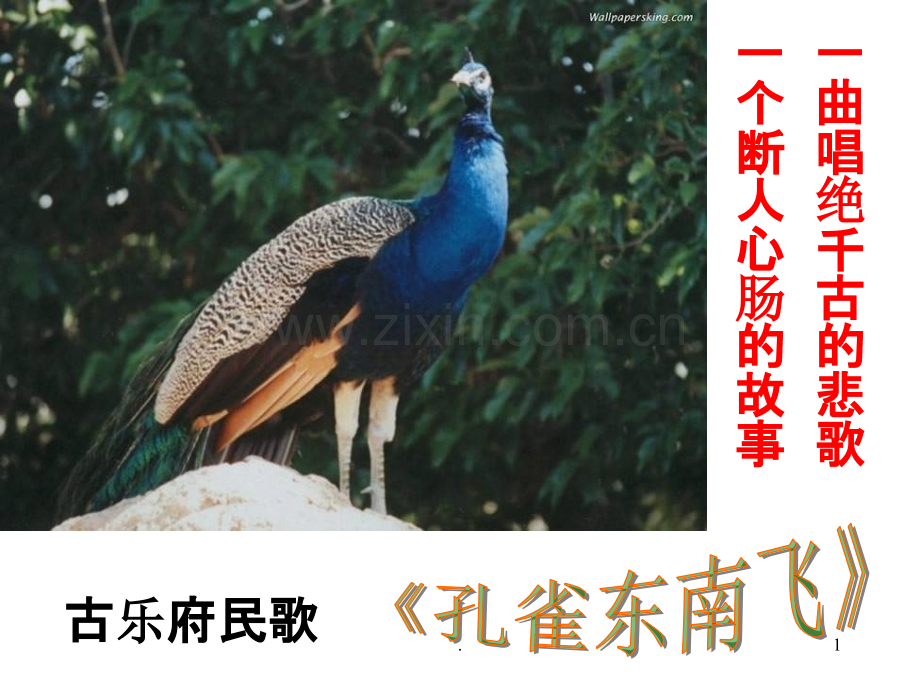《孔雀东南飞》(公开课).ppt_第1页