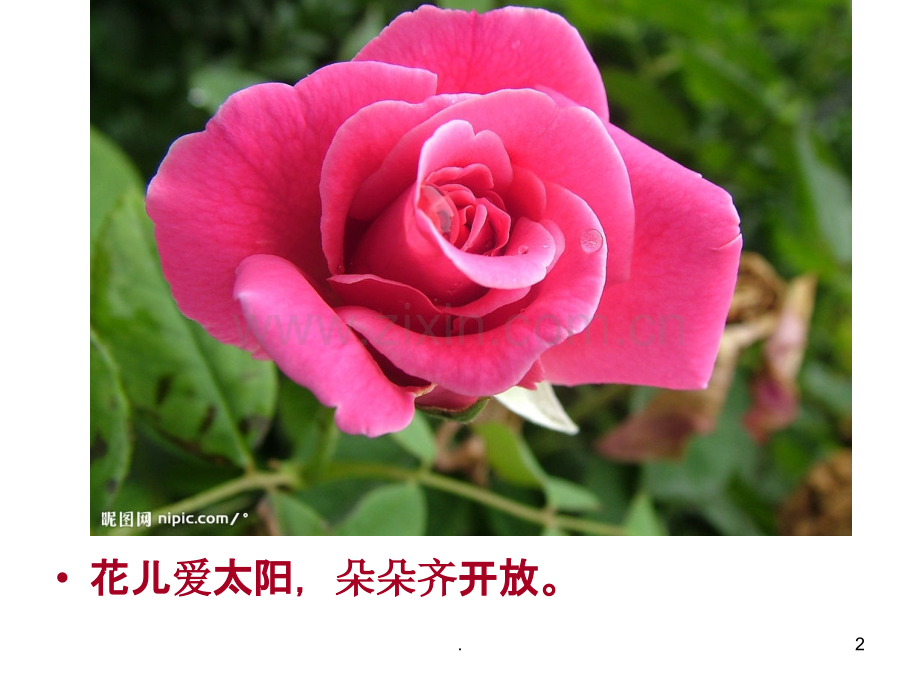 儿歌：歌唱祖国.ppt_第2页