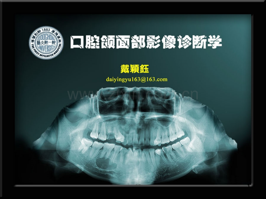 口腔全景解剖课件.ppt_第1页