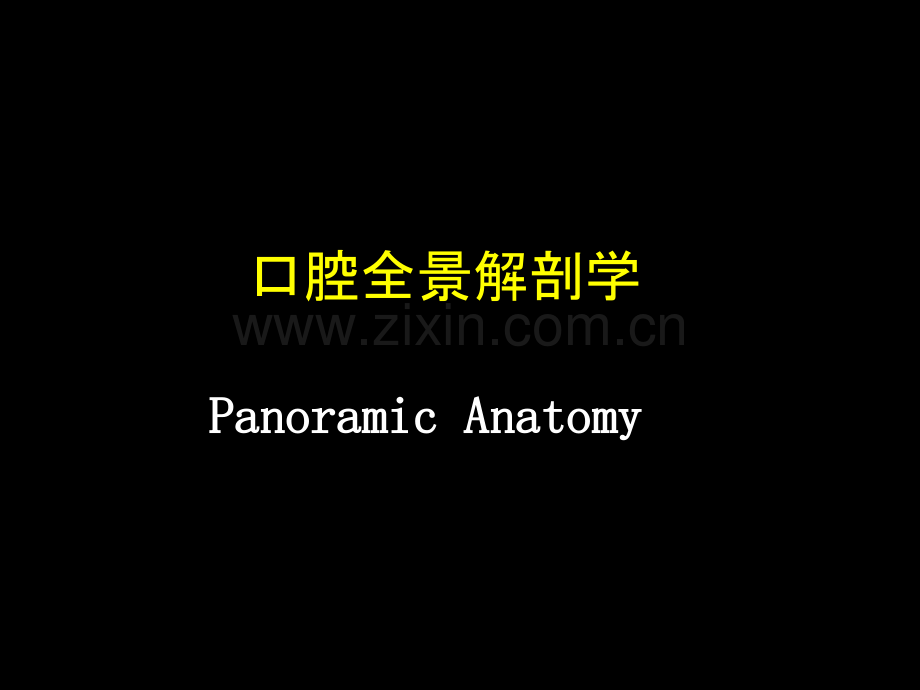口腔全景解剖课件.ppt_第2页