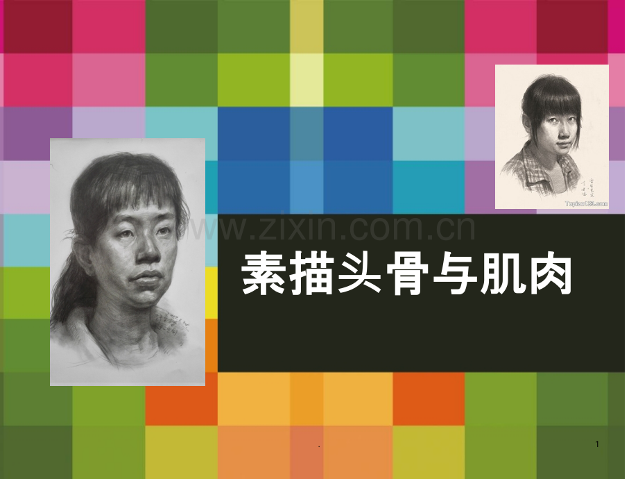 素描头骨与肌肉.ppt_第1页