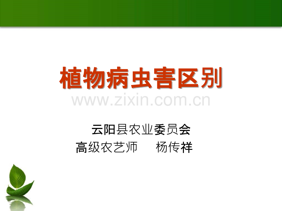 植物病害主要病原物的识别.ppt_第1页