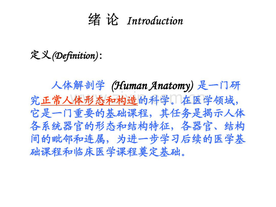 01-绪论+骨学.pdf_第2页