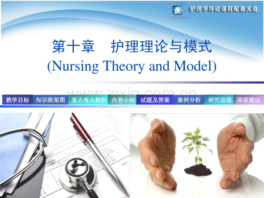 第10章护理理论2.pdf_第1页