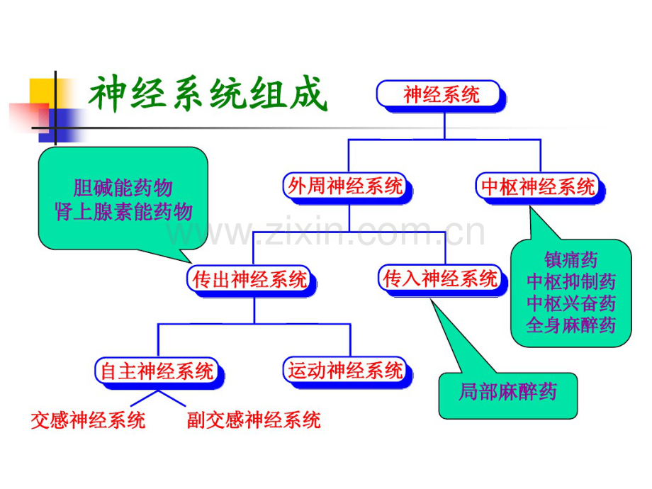 药物化学-北大04-(3).pdf_第1页