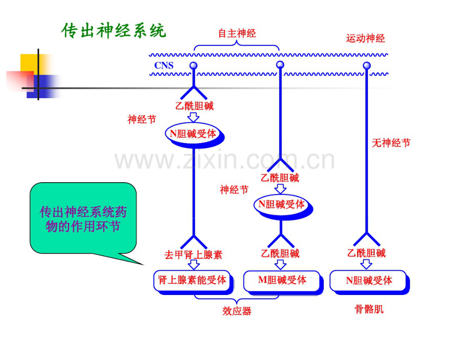 药物化学-北大04-(3).pdf_第2页