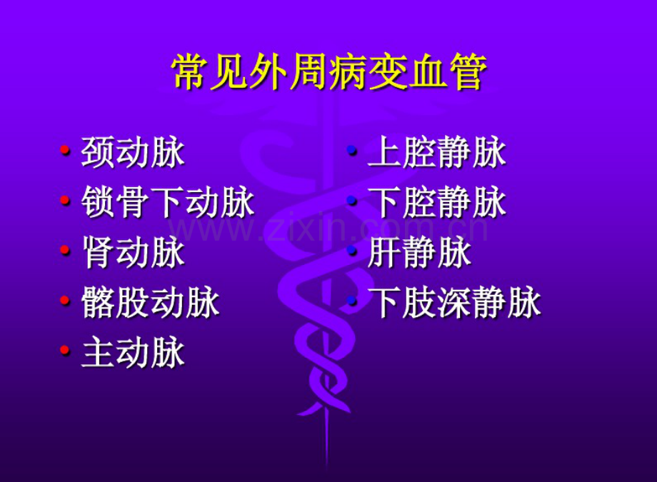 外周血管介入护理.pdf_第2页