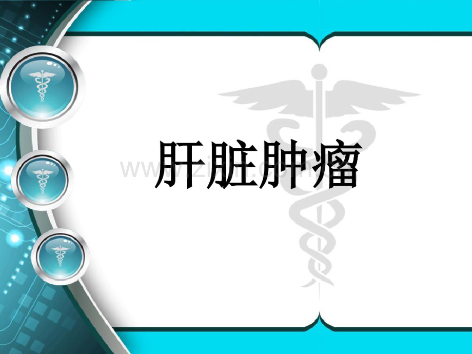肝脏肿瘤.pdf_第1页