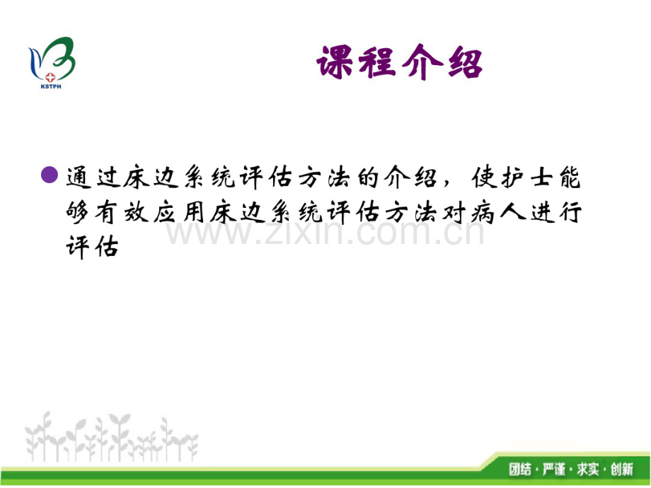 床边系统评估.pdf_第2页