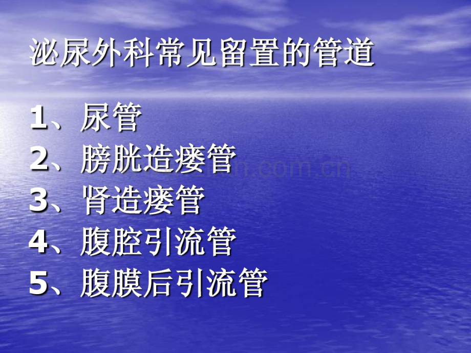 泌尿外科常见管道护理.pdf_第2页