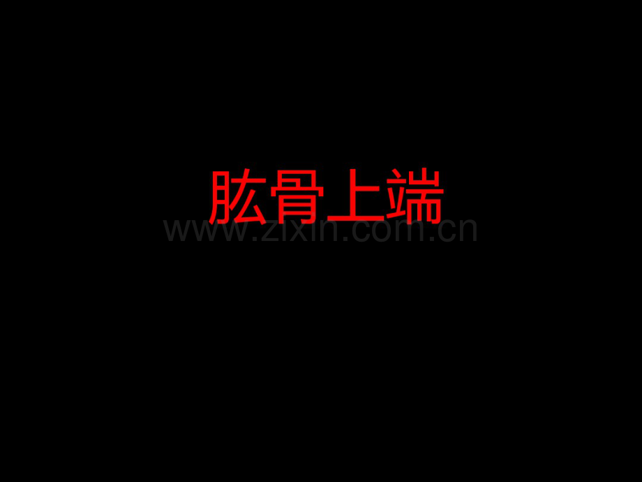 肱骨上端.pdf_第1页