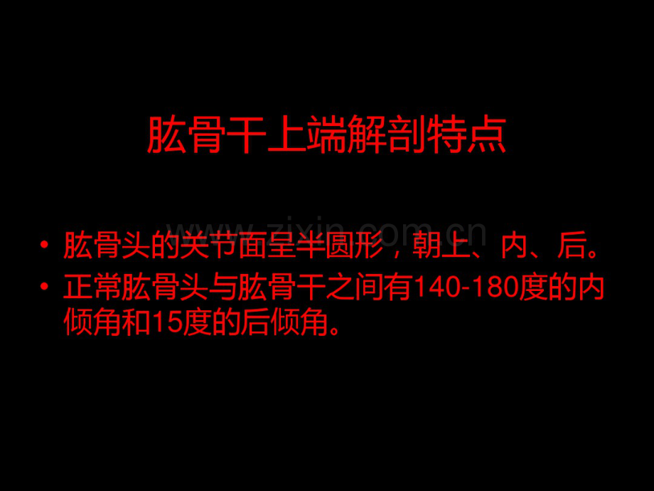 肱骨上端.pdf_第2页