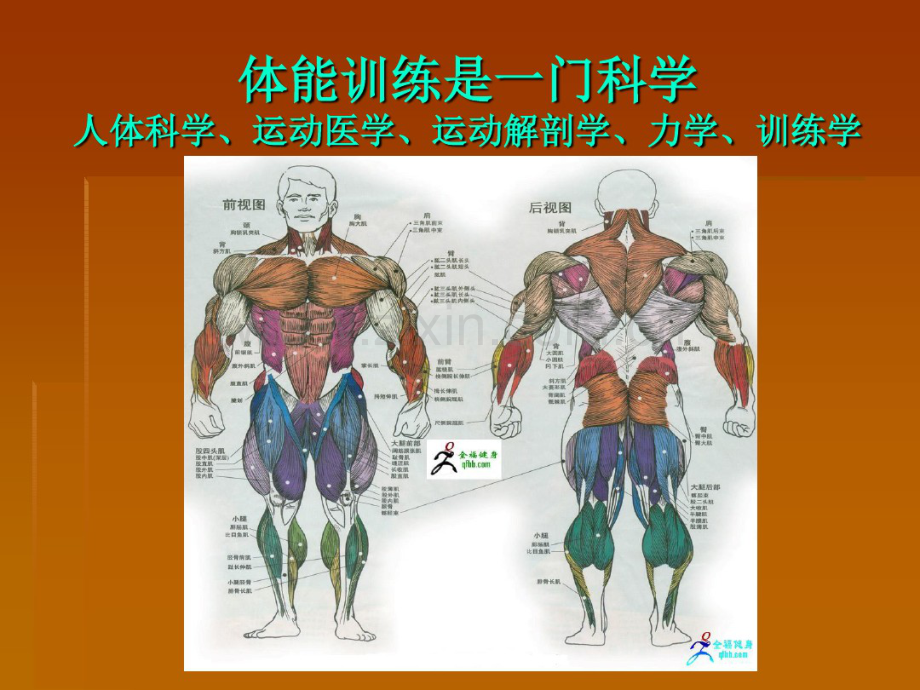 体能训练.pdf_第2页