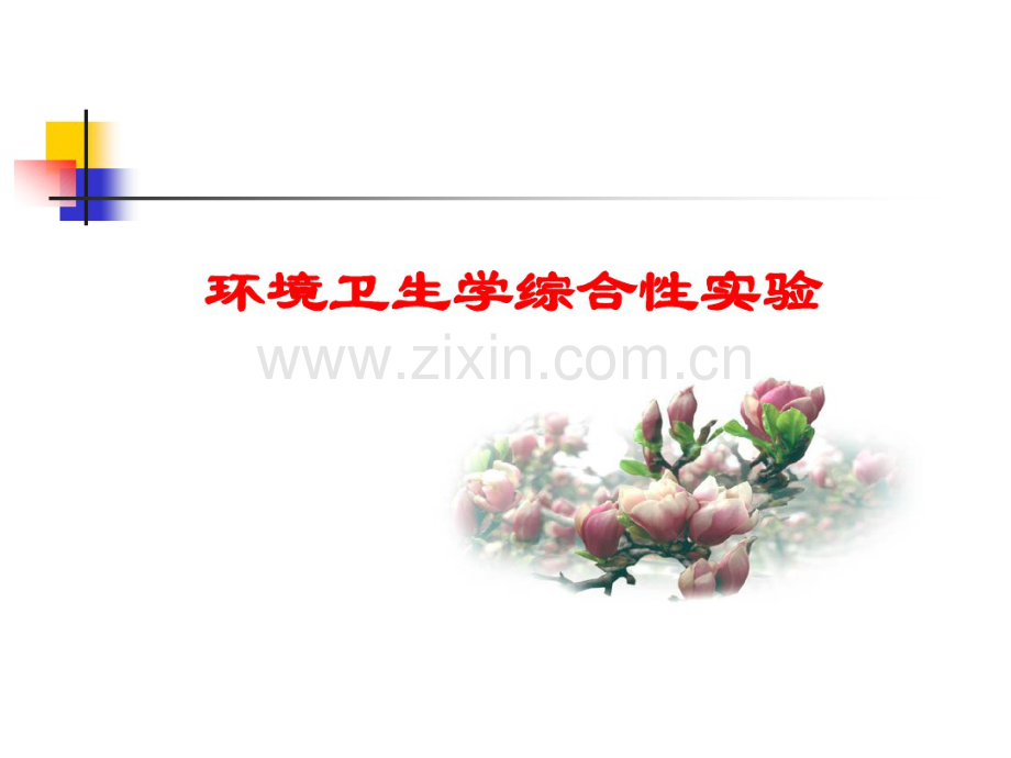 环境卫生学综合性实验.pdf_第1页