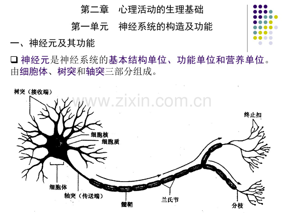 心理的神经生理基础1.pdf_第1页
