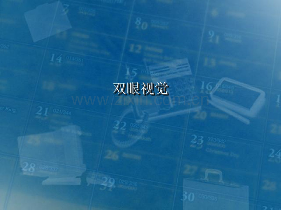 双眼视觉.pdf_第1页