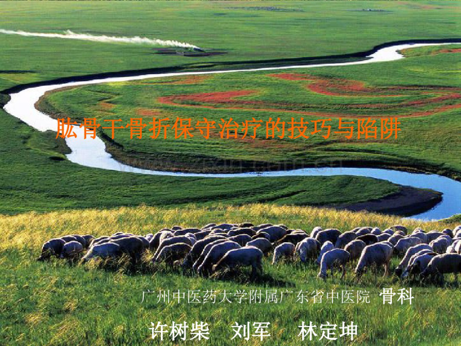 肱骨干骨折保守治疗的技巧与陷阱.pdf_第1页