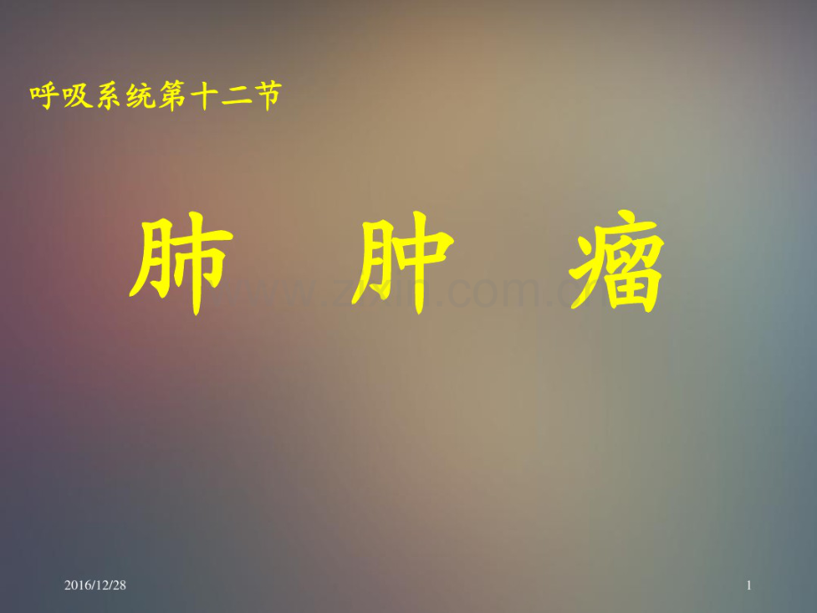 肺部肿瘤.pdf_第1页