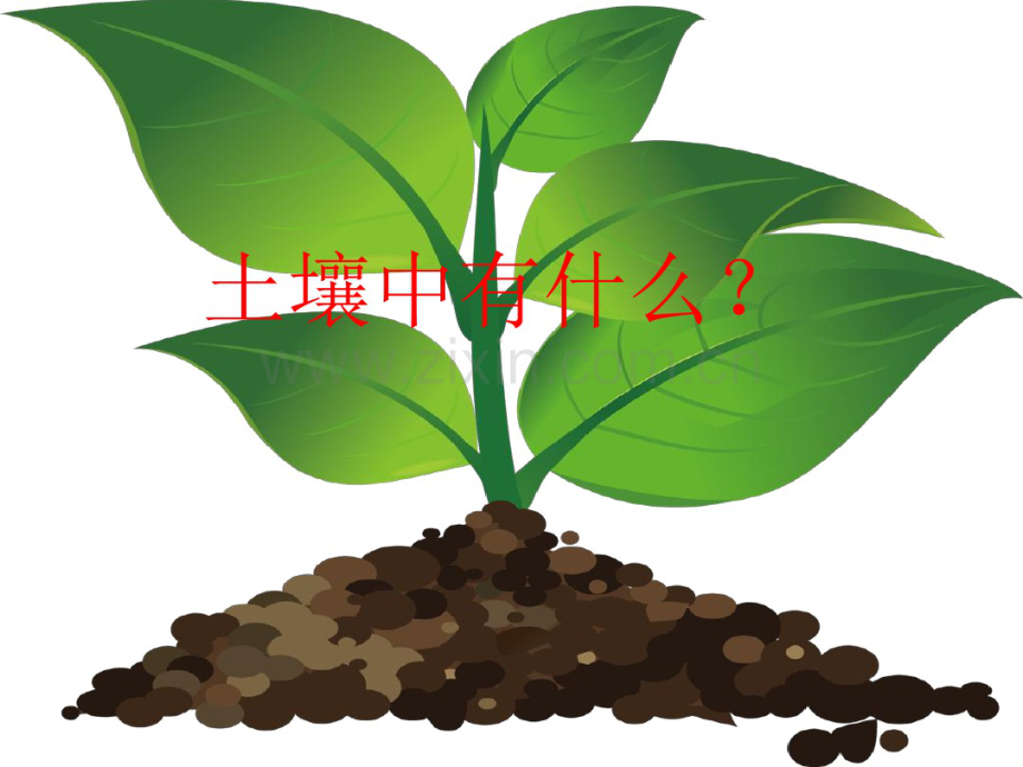 教科版科学五上《土壤中有什么》ppt课件(1).pdf_第1页