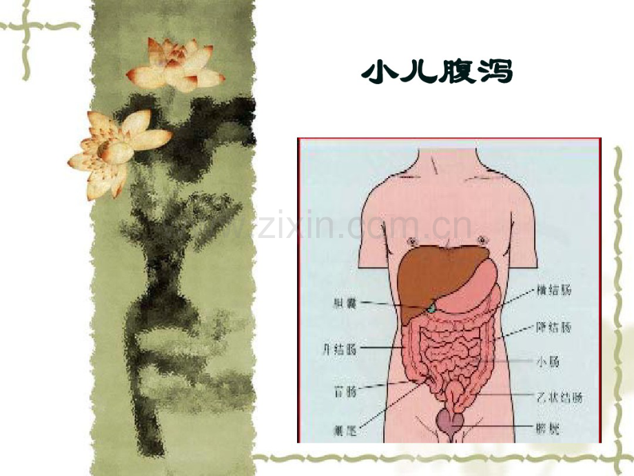 小儿腹泻.pdf_第1页
