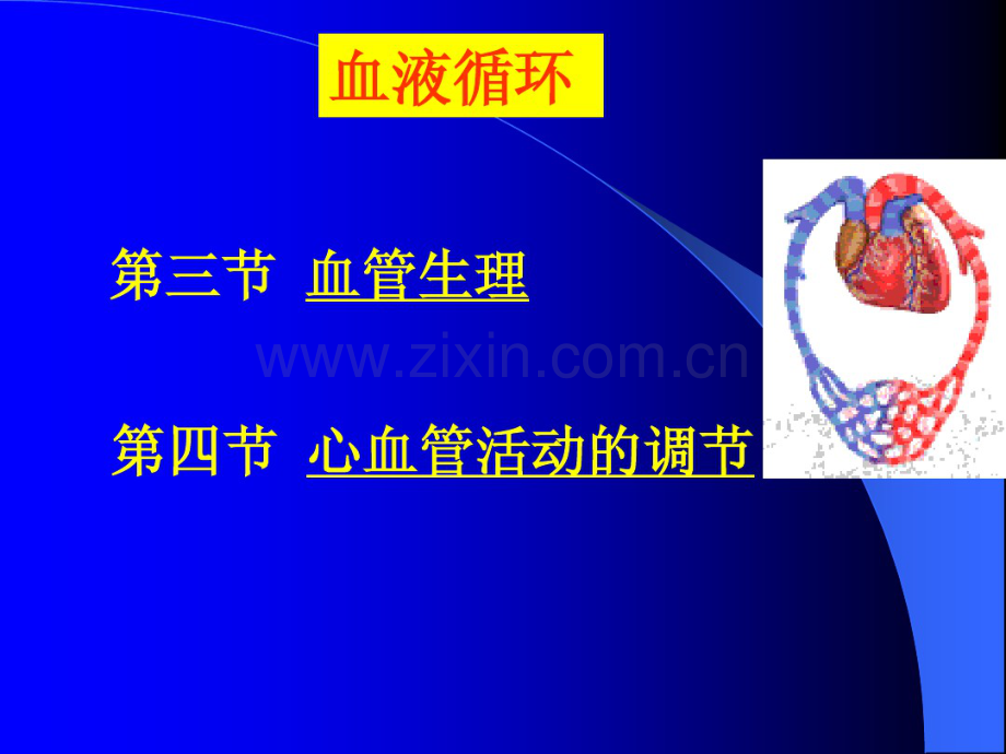 4血液循环2-(2).pdf_第1页