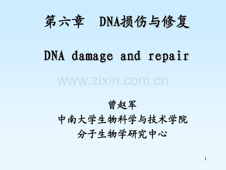 2011第六章DNA损伤与修复.pdf_第1页