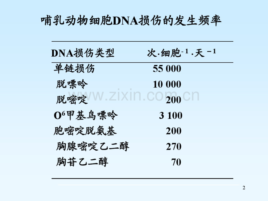 2011第六章DNA损伤与修复.pdf_第2页