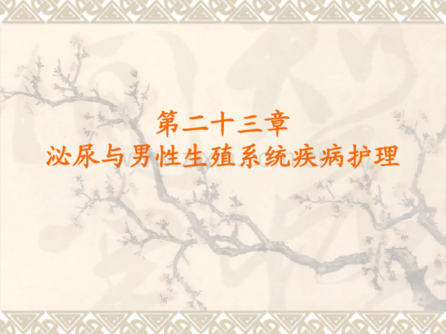 泌尿和男性生殖系统疾病护理.pdf_第1页