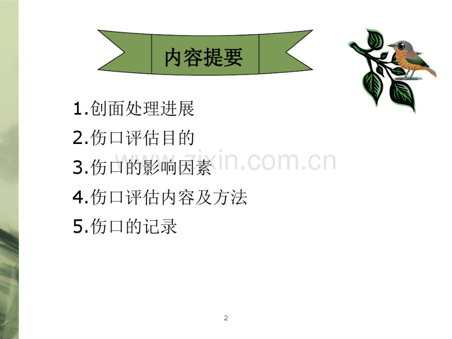 伤口护理.pdf_第2页