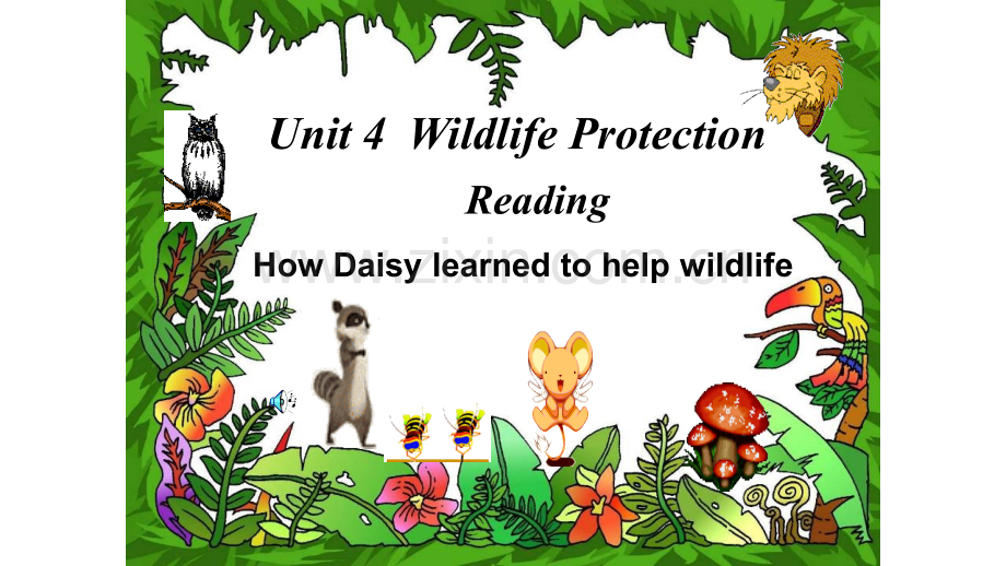 人教版高中英语Book2-Unit-4-Wildlife-Protection-Reading-Ho.ppt_第1页