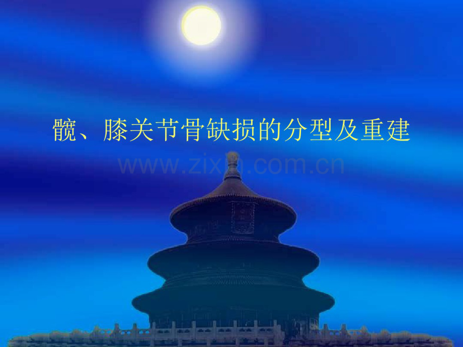 关节置换骨缺损分类.pdf_第1页