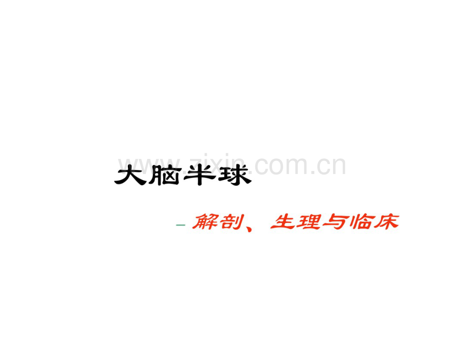 大脑半球.pdf_第1页
