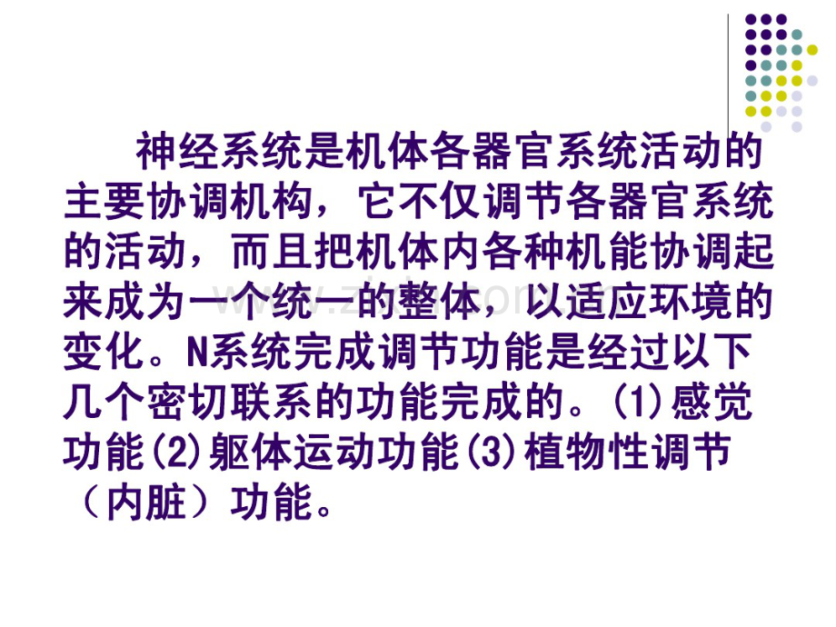 Hchapter8神经系统.pdf_第2页