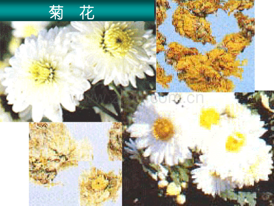 药膳中药.pdf_第2页