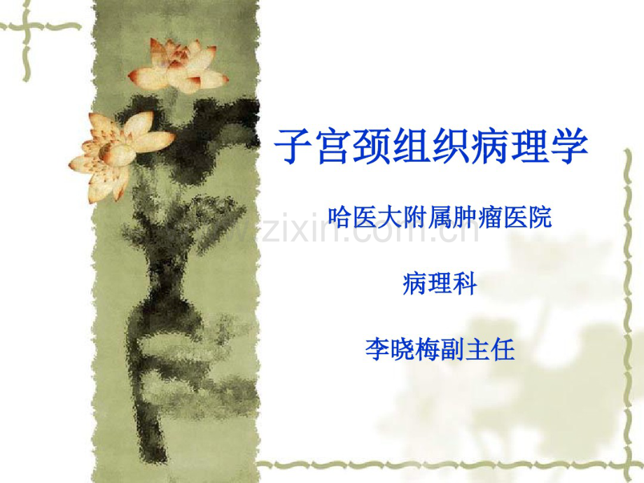 2014李晓梅卫生厅子宫颈组织病理学.pdf_第1页