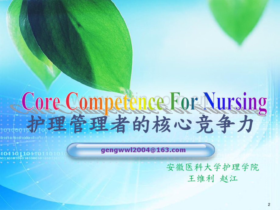 护理的管理人员核心竞争力.pdf_第2页