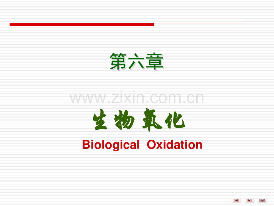 生物氧化.pdf_第2页