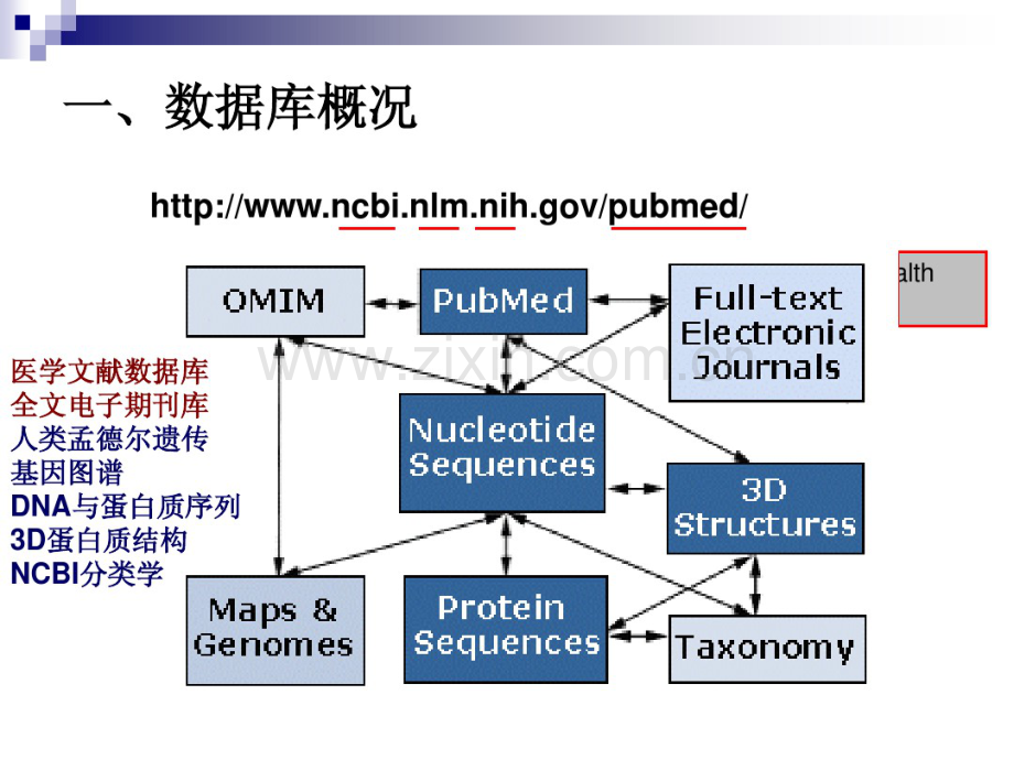 pubmed美国医学文献数据使用指导.pdf_第2页