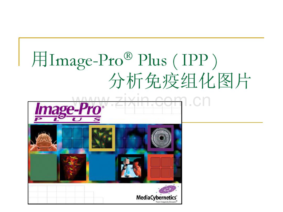 用ImagePro-Plus-分析免疫组化图片.pdf_第1页