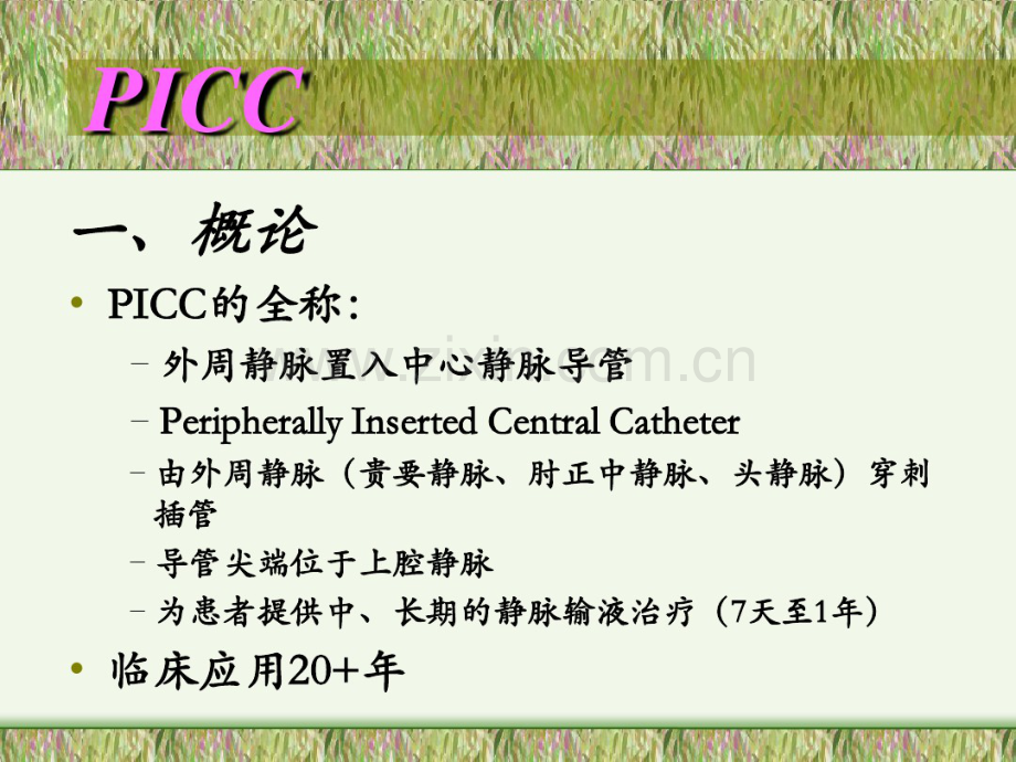 PICC置管术的操作流程.pdf_第2页