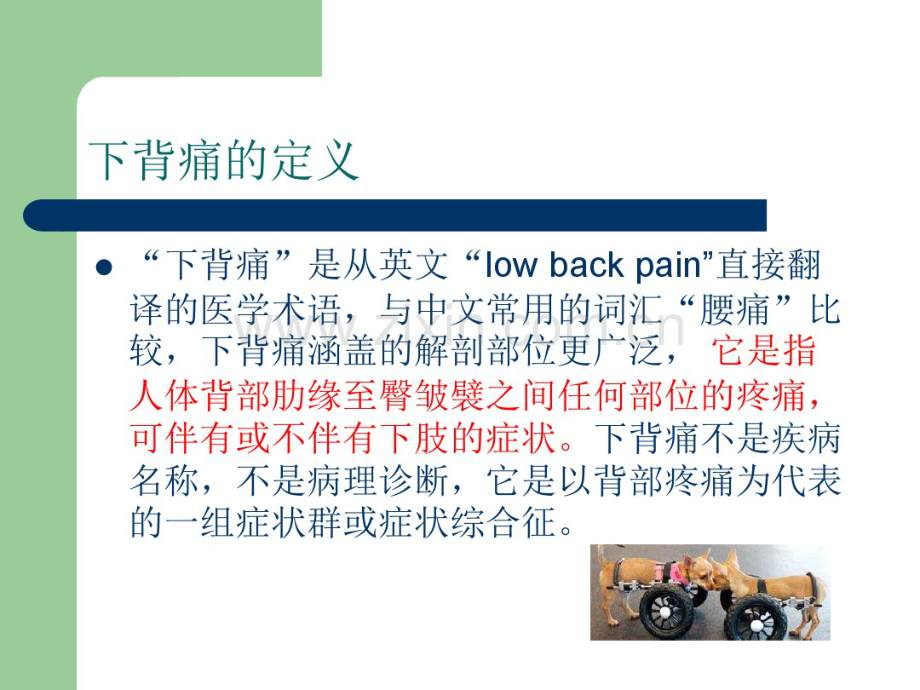 McKenzie麦肯基疗法.pdf_第2页