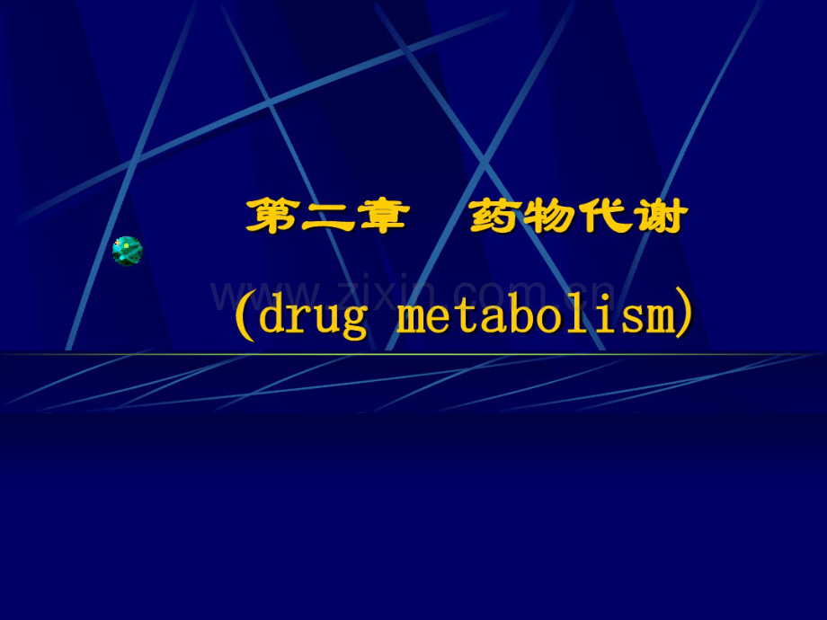 药物代谢.pdf_第1页